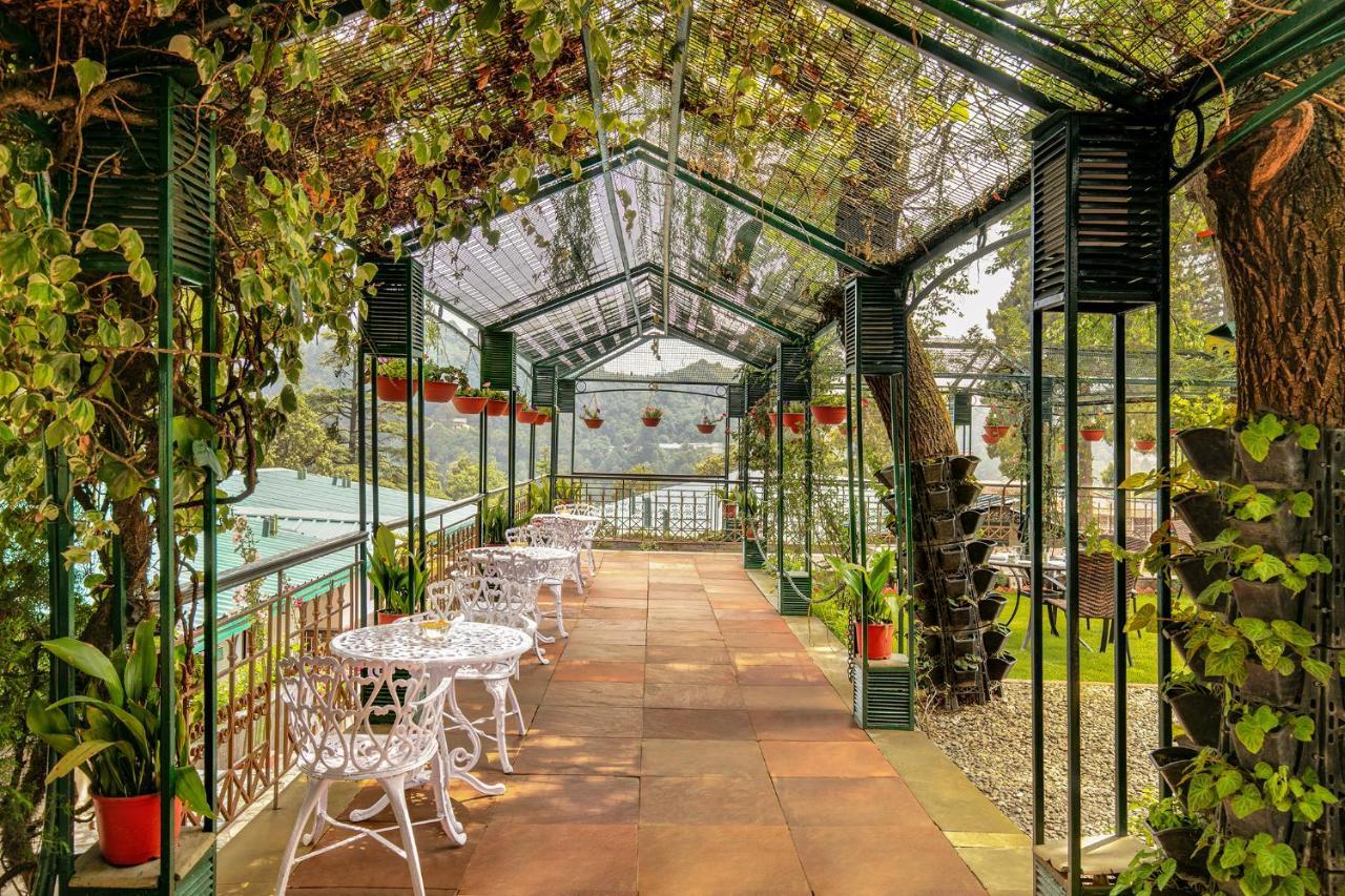 Shervani Hilltop Resort Nainital Εξωτερικό φωτογραφία