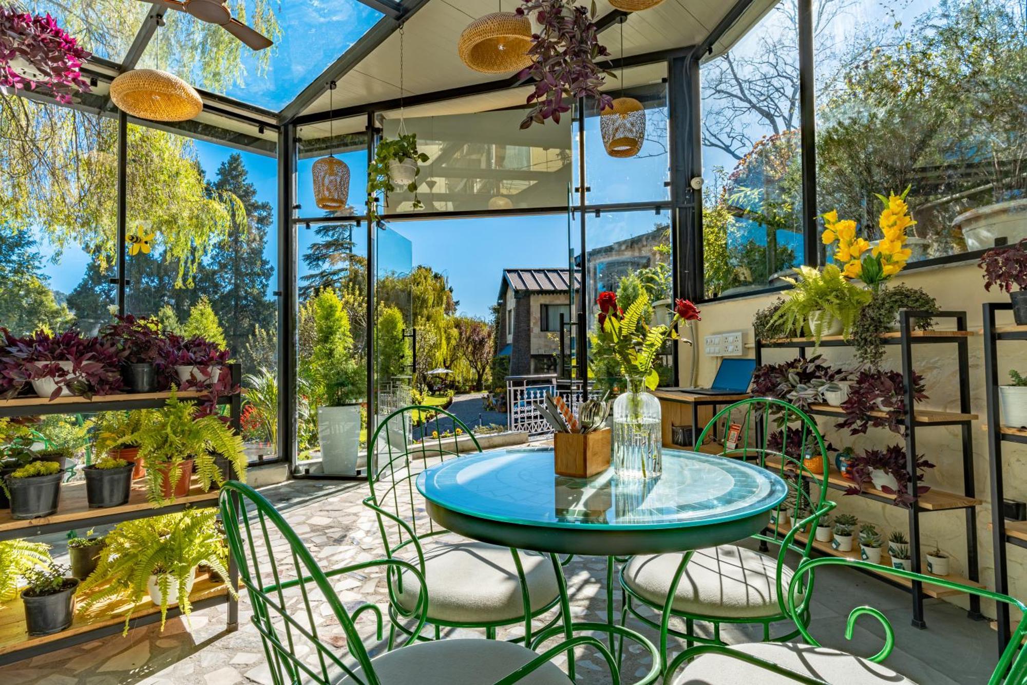 Shervani Hilltop Resort Nainital Εξωτερικό φωτογραφία