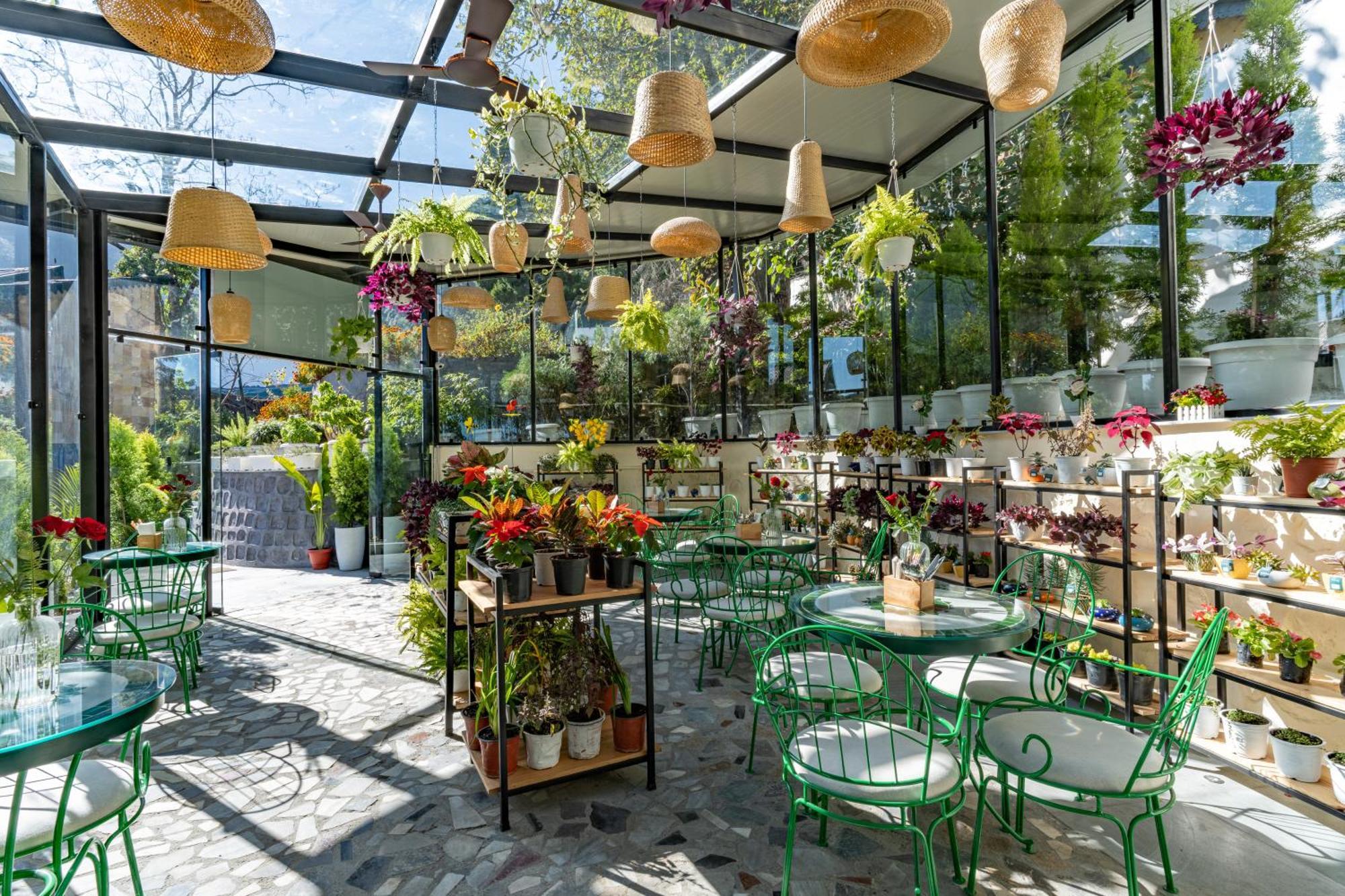 Shervani Hilltop Resort Nainital Εξωτερικό φωτογραφία