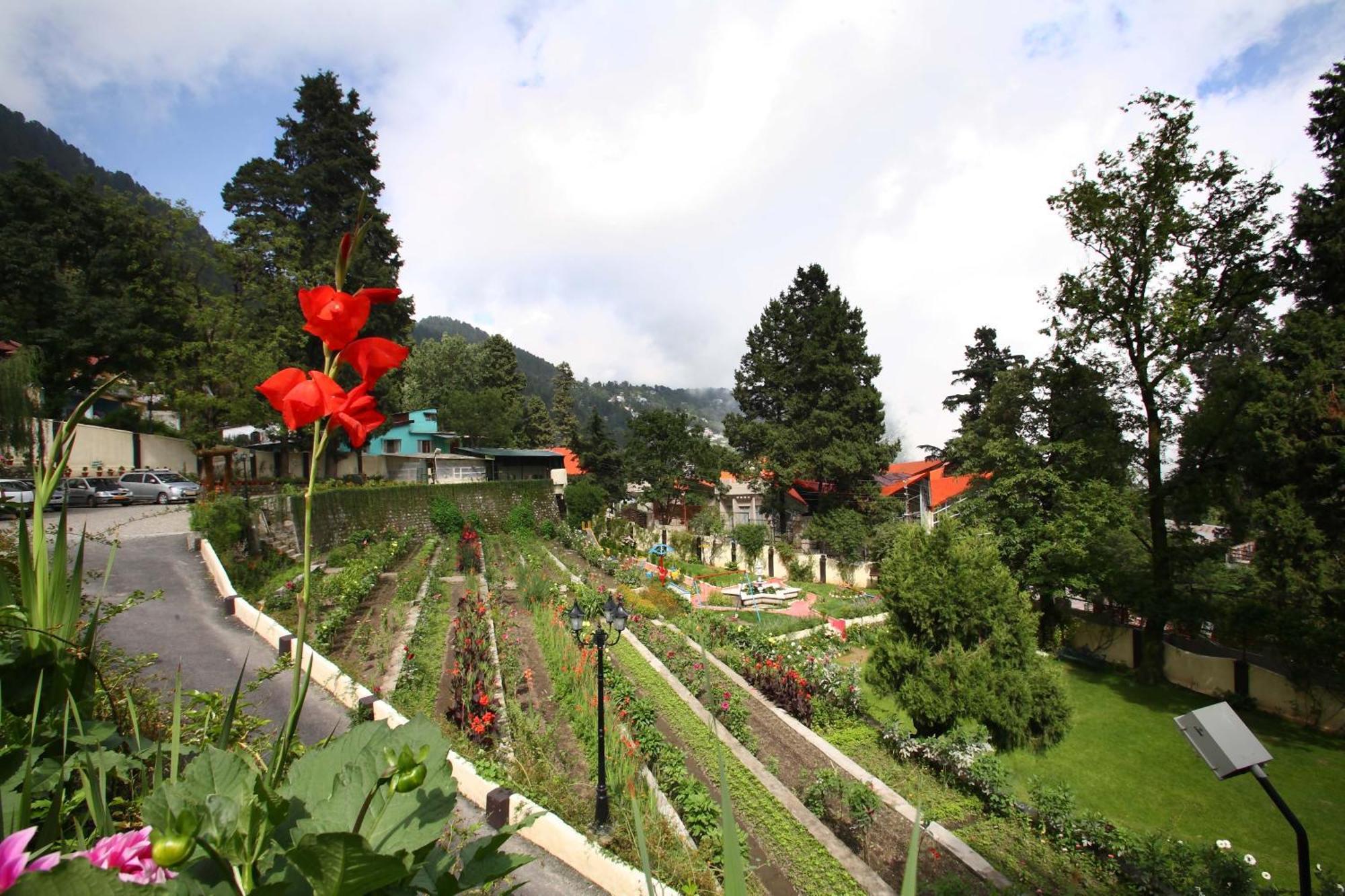 Shervani Hilltop Resort Nainital Εξωτερικό φωτογραφία